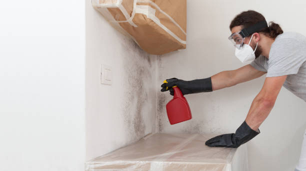 Professional Bathroom Mold Removal technician working in Schertz, TX